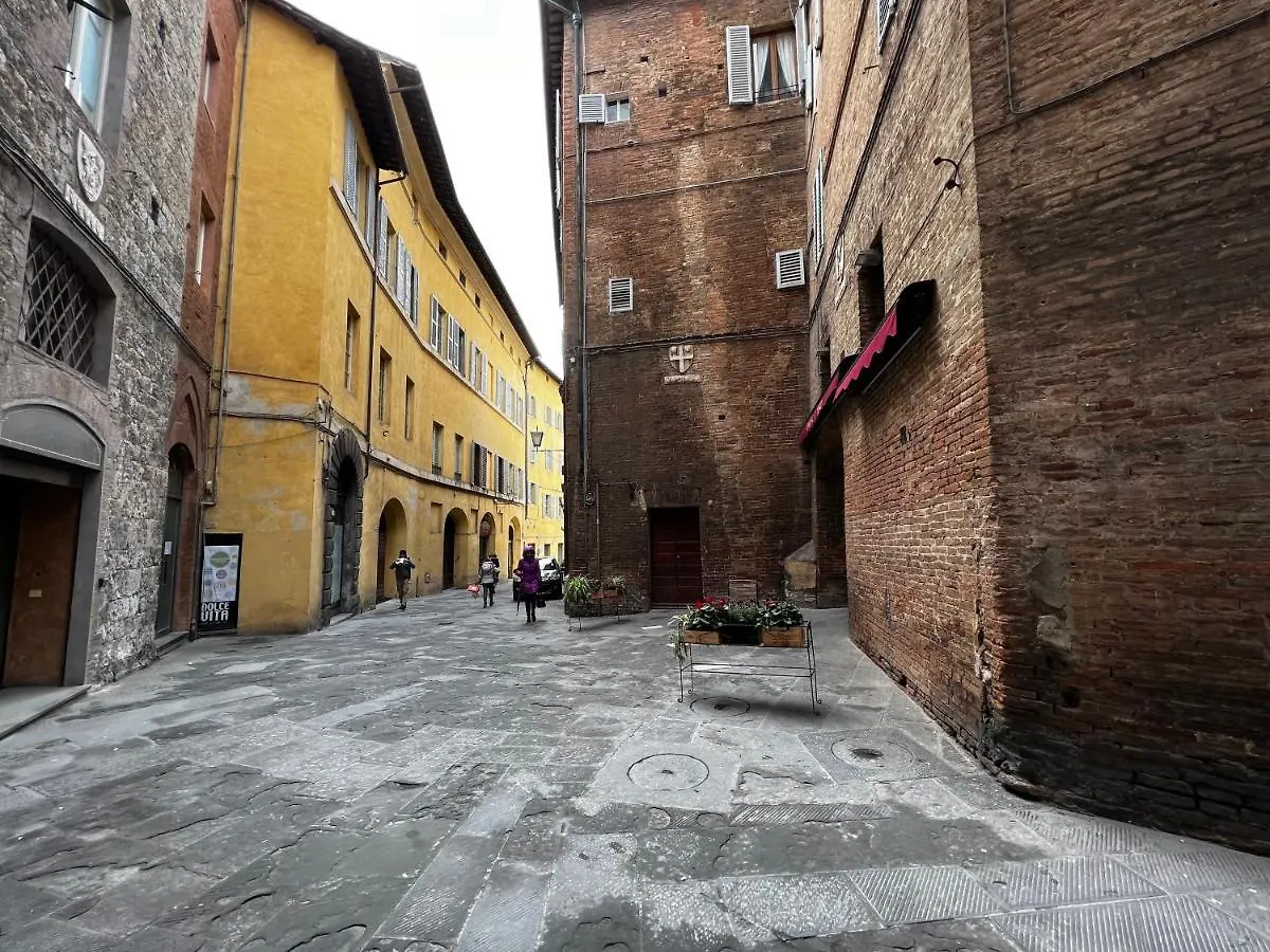 Kami-Central Beautiful Apartment Over The Roofs Siena